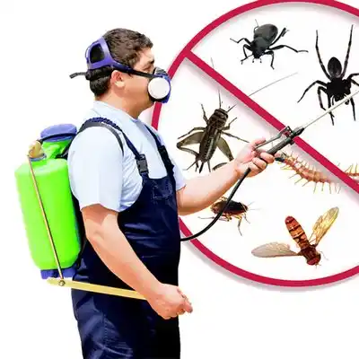 pest control Eminence